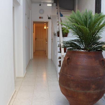 Carolina Apartments Crete Agia Pelagia Exteriér fotografie