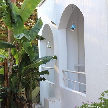 Carolina Apartments Crete Agia Pelagia Exteriér fotografie