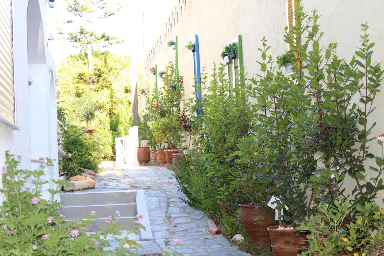 Carolina Apartments Crete Agia Pelagia Exteriér fotografie