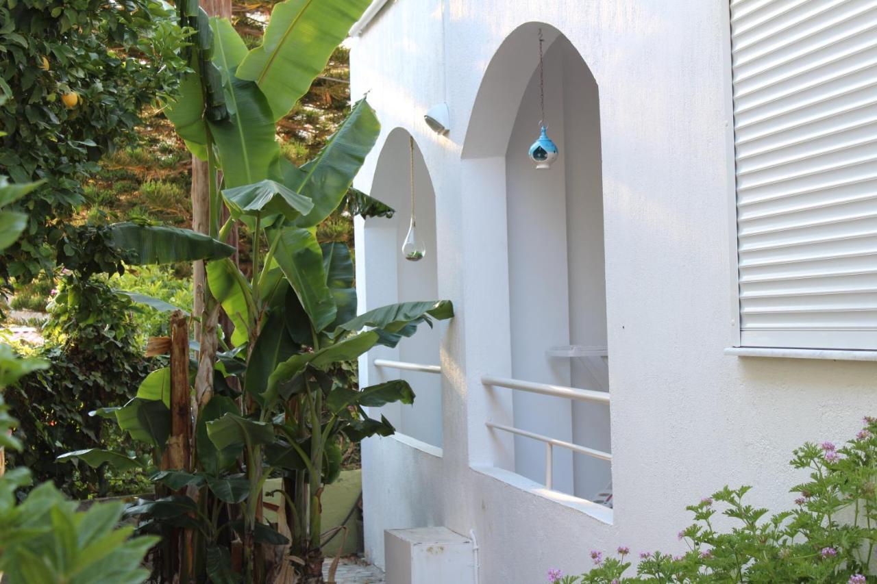 Carolina Apartments Crete Agia Pelagia Exteriér fotografie